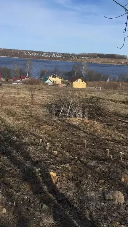 Участок в Вологодская область, Череповецкий район, д. Циково ул. ... - Фото 1