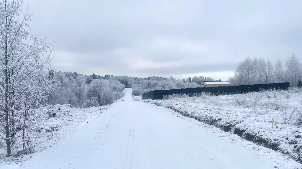 Участок в Московская область, Дмитровский муниципальный округ, д. ... - Фото 2
