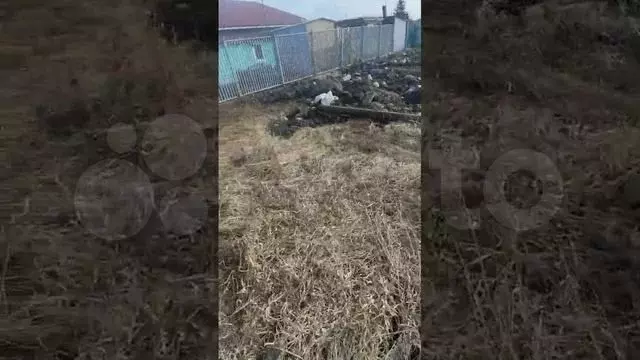 Участок 3,6 сот. (ИЖС) - Фото 1