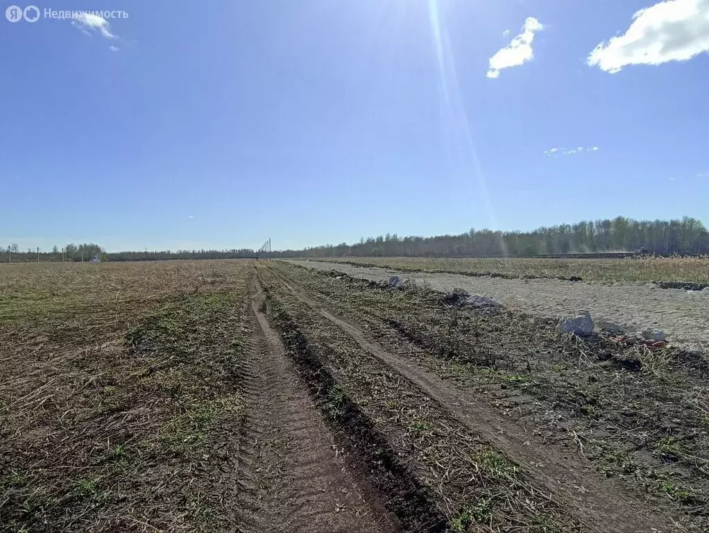 Участок в Тюменский муниципальный округ, КП Новая Горьковка (7.3 м) - Фото 1