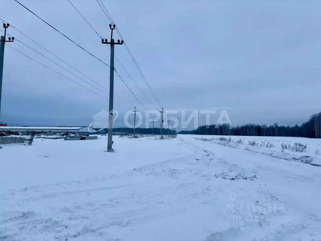 Участок в Тюменская область, Тюменский район, с. Горьковка Сибирская ... - Фото 1