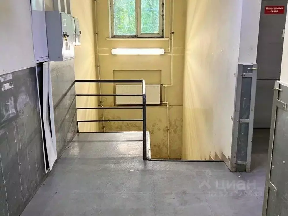 Торговая площадь в Московская область, Солнечногорск городской округ, ... - Фото 1