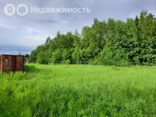 Участок в Сергиево-Посадский городской округ, ДНП Дивный (20 м) - Фото 2