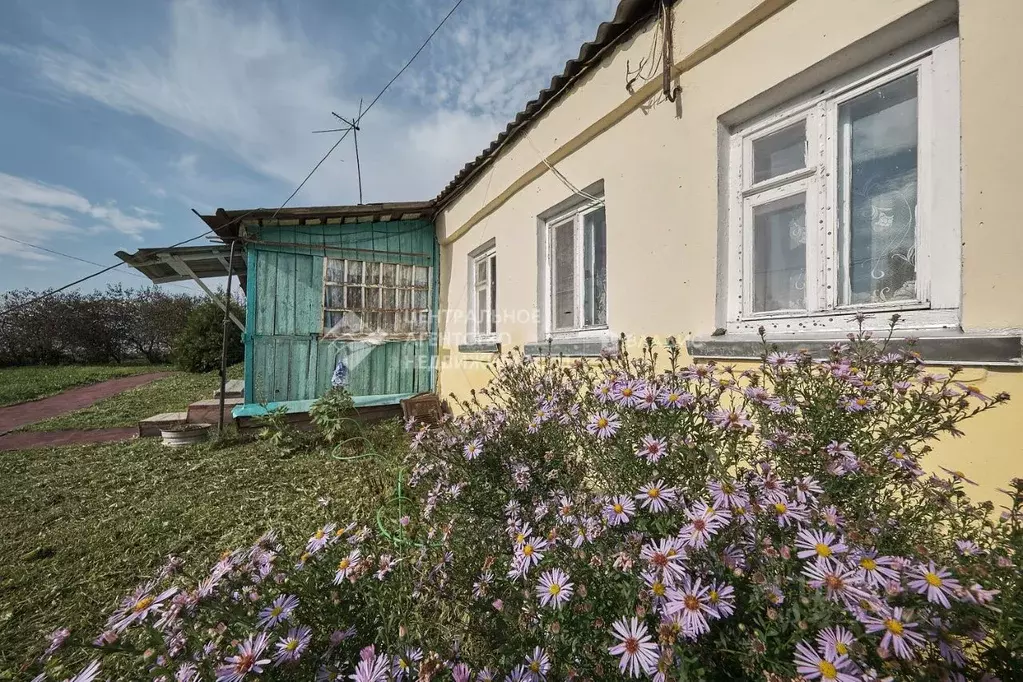 Дом в Рязанская область, Рыбновский район, с. Алешня 171 (55 м) - Фото 2