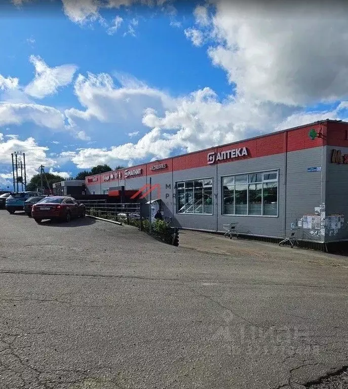 Торговая площадь в Московская область, Истра муниципальный округ, д. ... - Фото 2