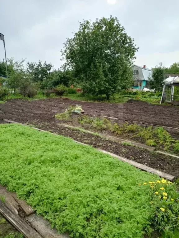 Участок в Марий Эл, Медведевский район, Сидоровское с/пос, Дружба СНТ, ... - Фото 1