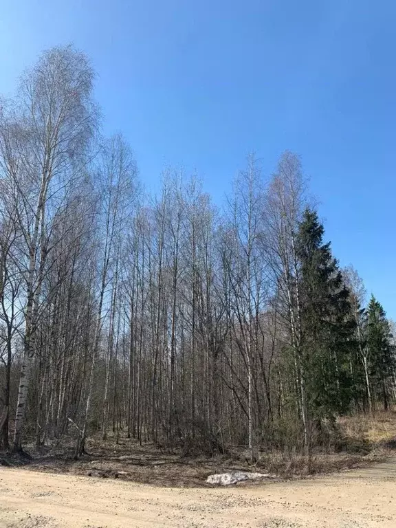 Участок в Ярославская область, Переславль-Залесский городской округ, ... - Фото 1