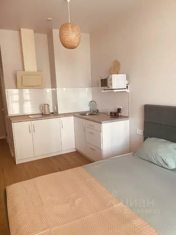 Студия Ростовская область, Ростов-на-Дону Привокзальная ул., 3/1 (30.0 ... - Фото 2