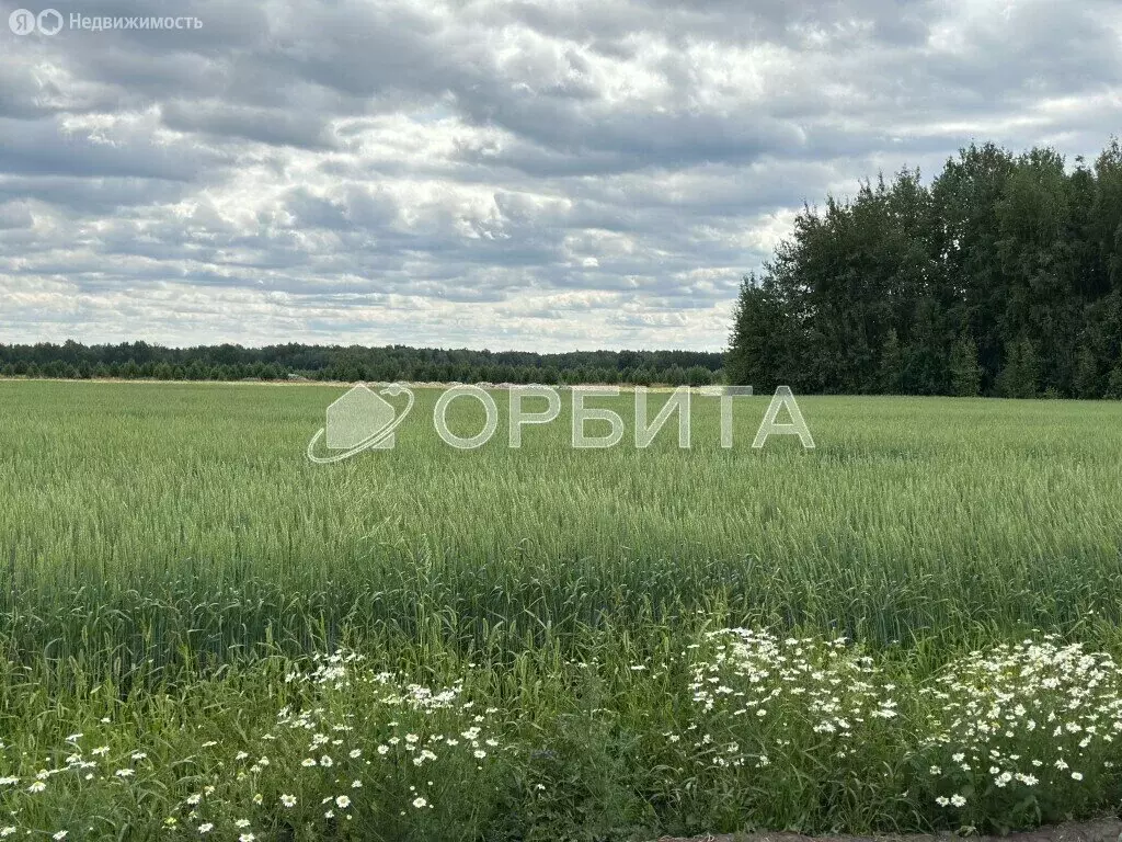 Участок в Тюменский район, село Щербак (4.8 м) - Фото 0