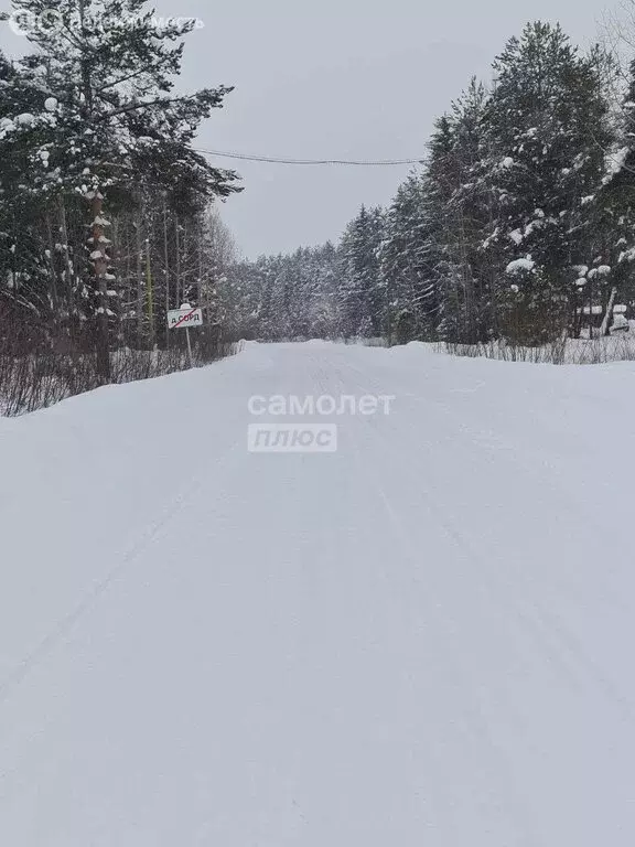 Участок в Республика Коми, муниципальный район Сысольский, ... - Фото 2