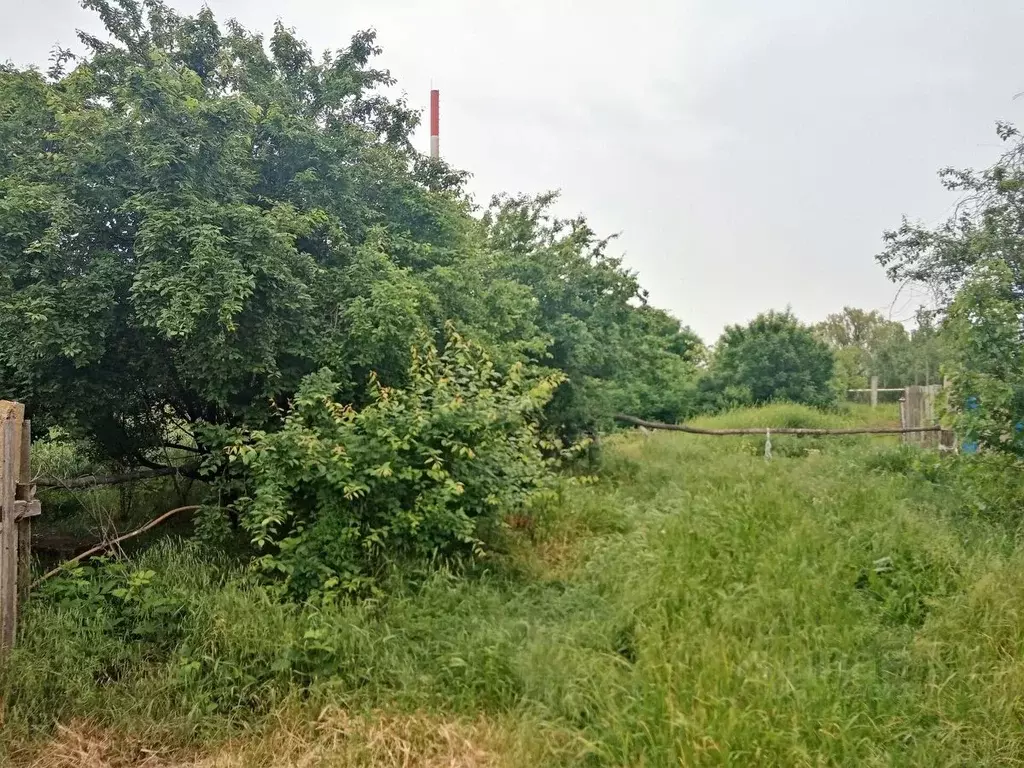 Участок в Краснодарский край, Темрюк Автомобилист СОТ, ул. Урожайная ... - Фото 0