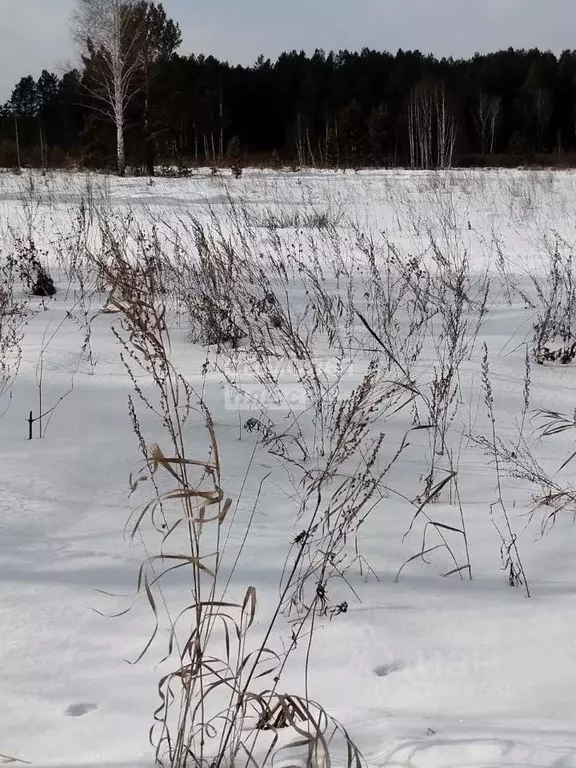 Участок в Иркутская область, Иркутский муниципальный округ, Иркут ... - Фото 1