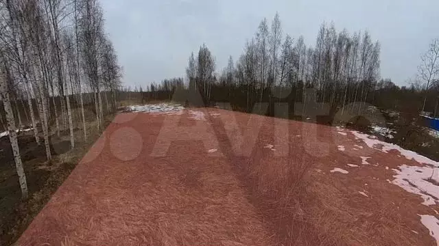 Участок 10,9 сот. (СНТ, ДНП) - Фото 1