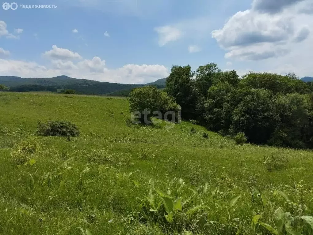Участок в Майкопский район, Абадзехское сельское поселение, станица ... - Фото 2