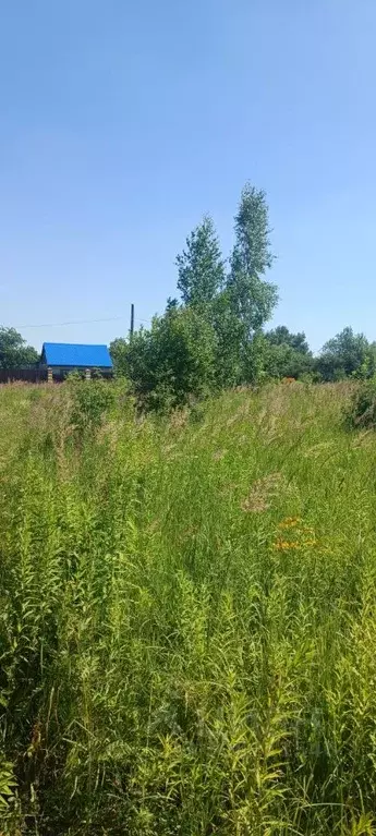 Участок в Тульская область, Щекинский район, Ломинцевское ... - Фото 0