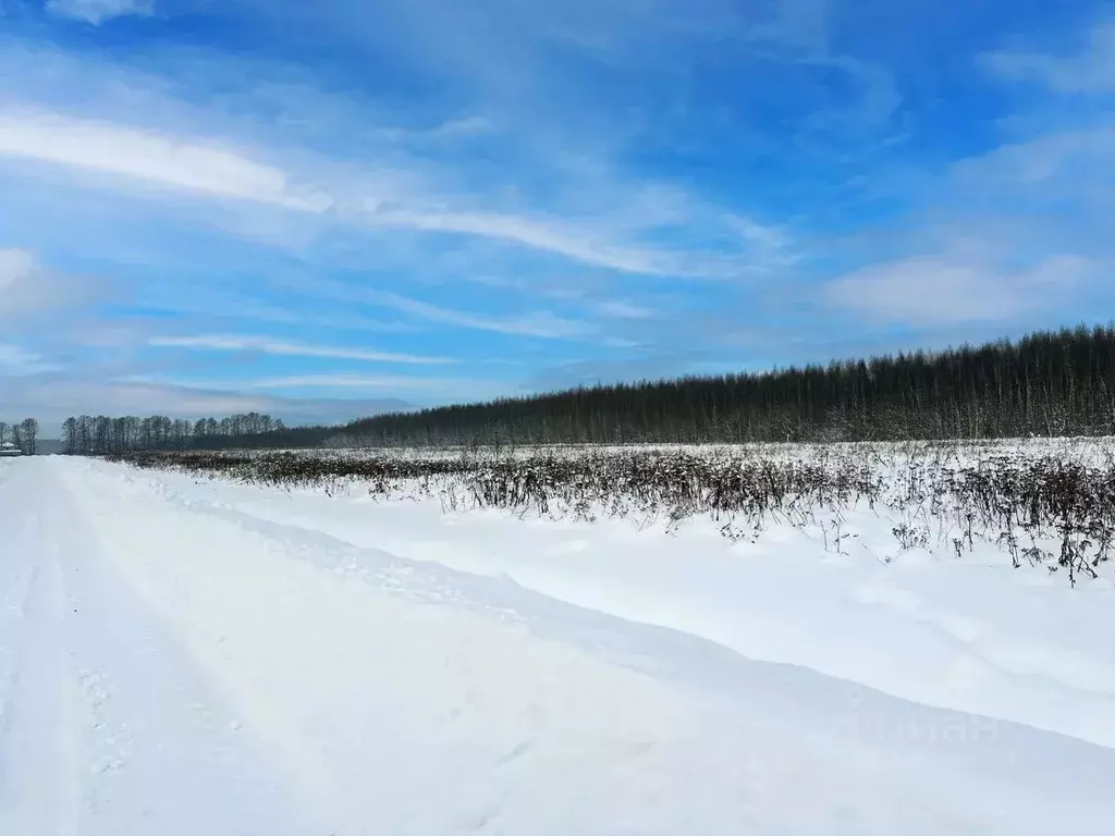 Участок в Московская область, Раменский муниципальный округ, Оттепель ... - Фото 2