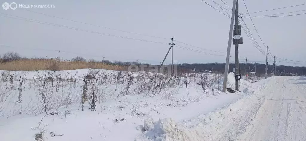 Участок в Ставрополь, садовое товарищество Виктория, 719 (4.5 м) - Фото 0