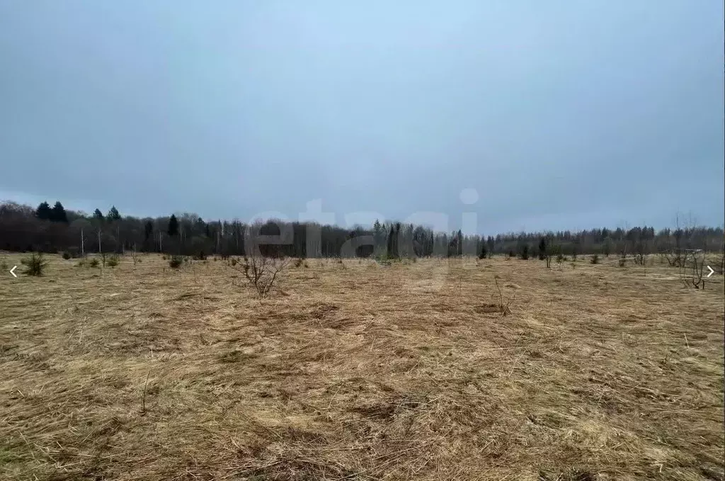 Участок в Костромская область, Судиславский муниципальный округ, пос. ... - Фото 1