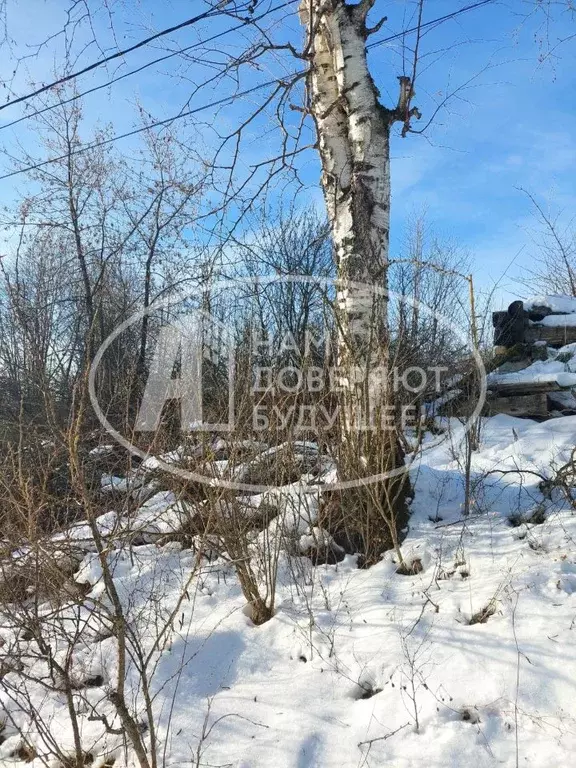Участок в Пермский край, Лысьва ул. Горького (5.87 сот.) - Фото 1