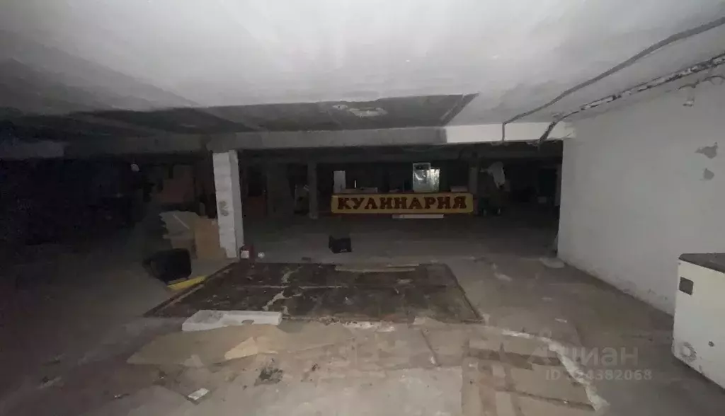 Помещение свободного назначения в Свердловская область, Екатеринбург ... - Фото 2