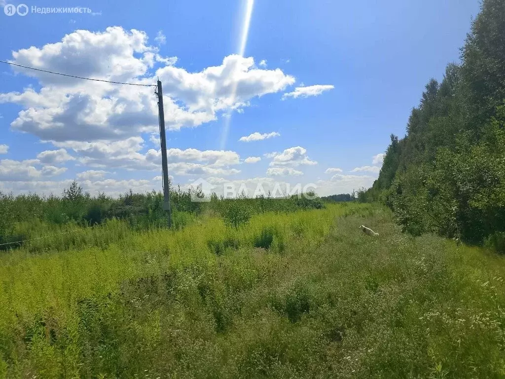 Участок в Инютино, Луговая улица (25 м) - Фото 1