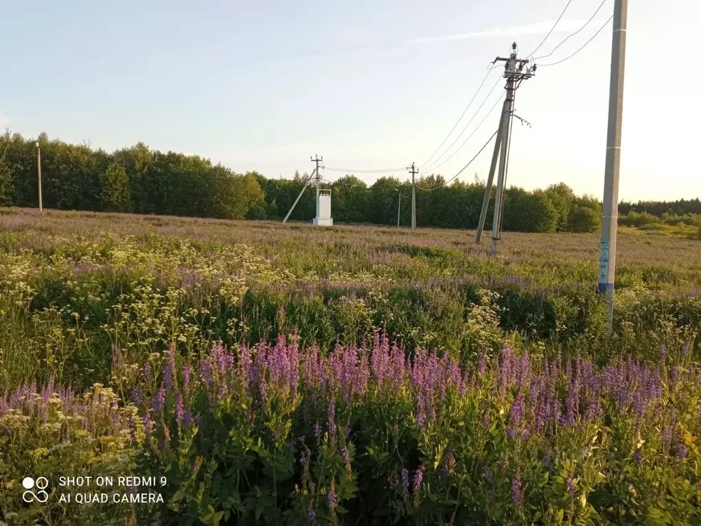 Участок в Московская область, Сергиево-Посадский городской округ, д. ... - Фото 1