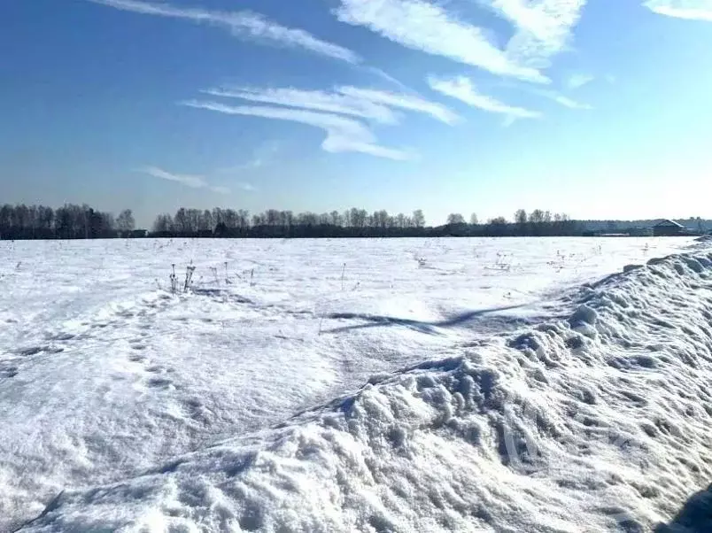 Участок в Ленинградская область, Кировский район, Синявинское ... - Фото 1