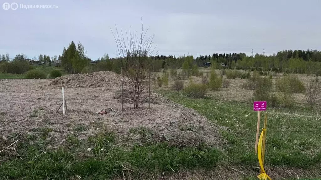 Участок в Низинское сельское поселение, Гранитная улица (6 м) - Фото 2