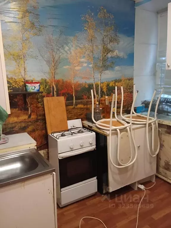 Комната Москва проезд Черепановых, 48 (16.0 м) - Фото 1