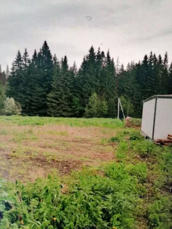 Участок в Пермский край, Пермский муниципальный округ, пос. Протасы  ... - Фото 2