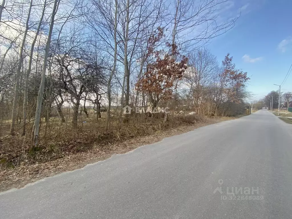 Участок в Калининградская область, Зеленоградский муниципальный округ, ... - Фото 1