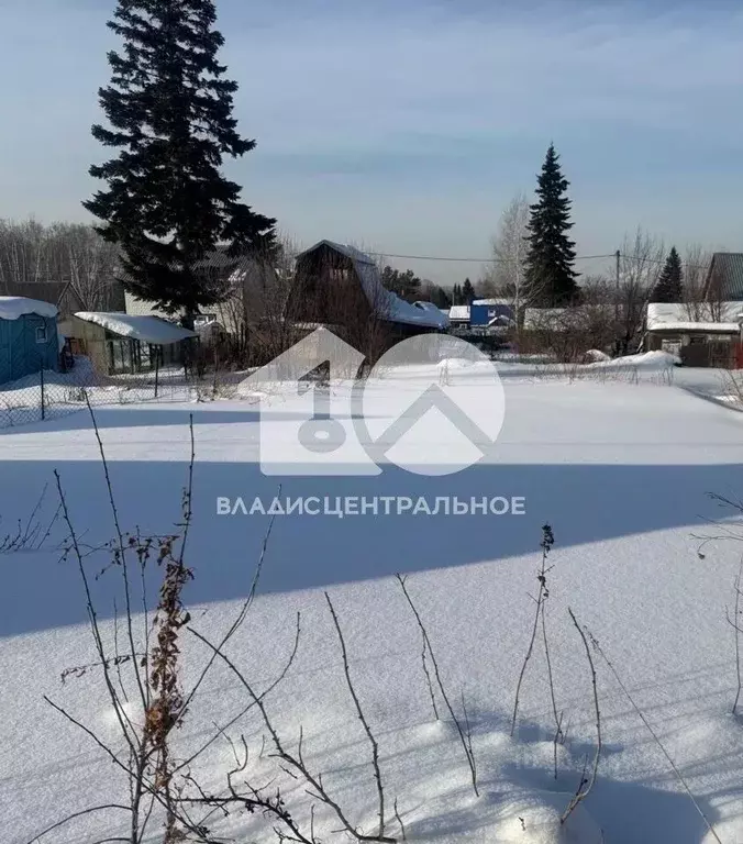 Участок в Новосибирская область, Новосибирский район, Барышевский ... - Фото 0