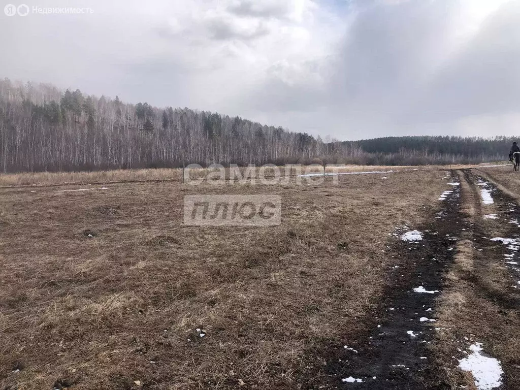 Участок в Иркутский муниципальный округ, деревня Куда, Пионерский ... - Фото 1