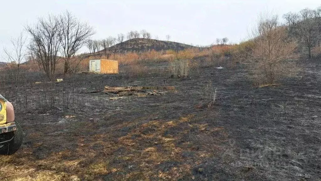 Участок в Амурская область, Благовещенск пос. Моховая Падь, ул. ... - Фото 1