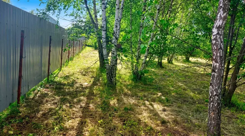 Участок в Московская область, Ступино городской округ, Родничок СНТ 20 ... - Фото 1