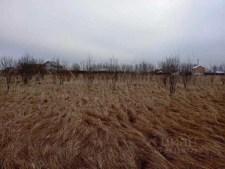 Участок в Московская область, Раменский муниципальный округ, д. ... - Фото 2