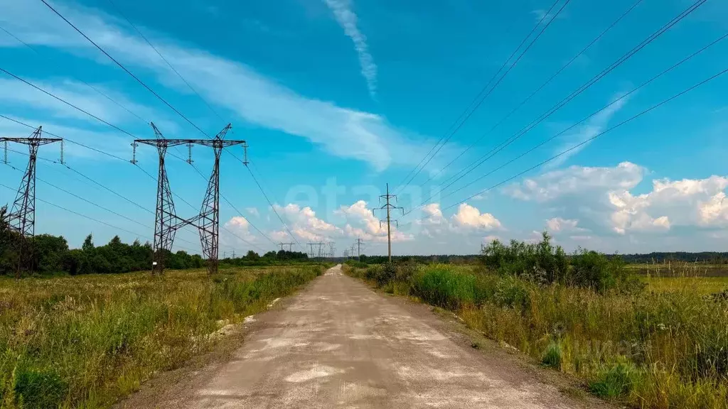 Участок в Ленинградская область, Волховский район, Староладожское ... - Фото 1