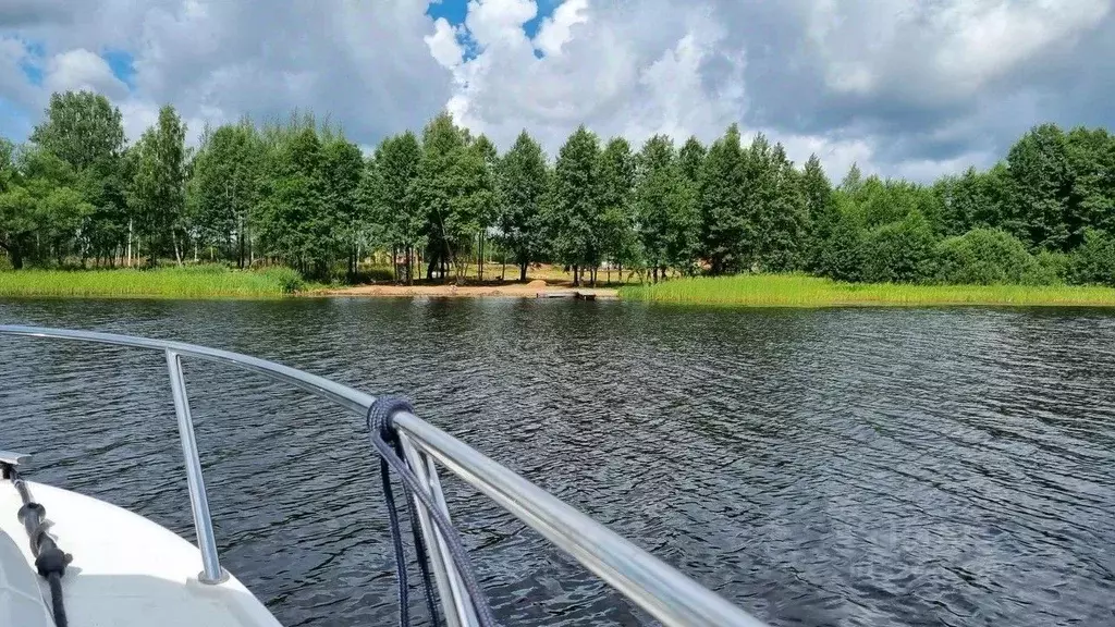 Участок в Тверская область, Конаковский муниципальный округ, ДП ... - Фото 2