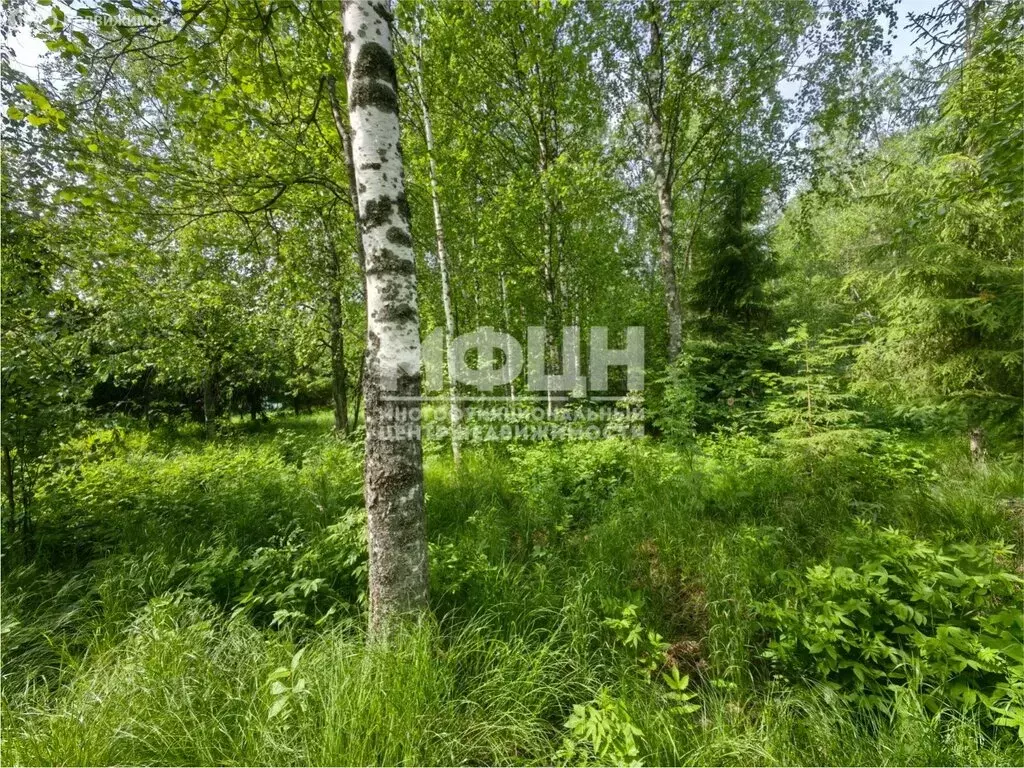 Участок в Чална, улица Калинина (15 м) - Фото 1
