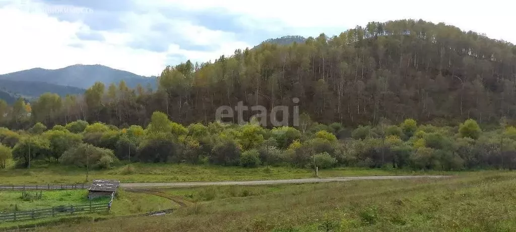 Участок в село Камлак, Алтайская улица (30 м) - Фото 0