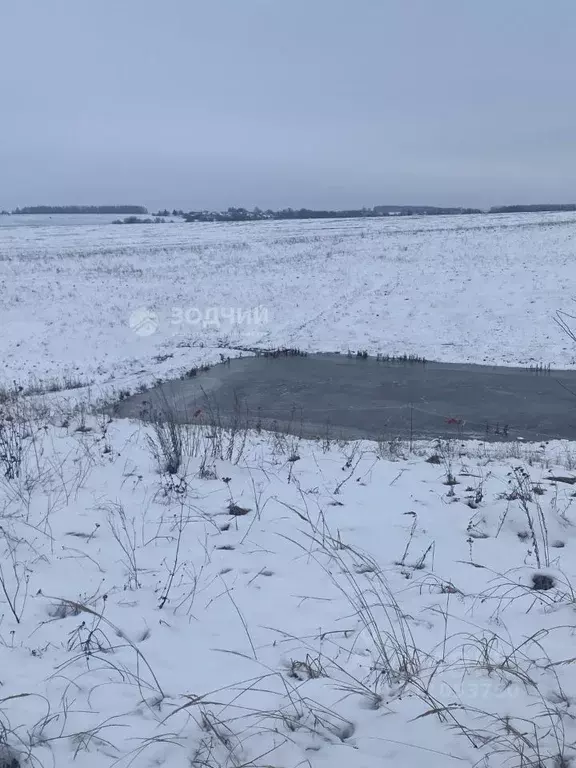 Участок в Чувашия, Моргаушский муниципальный округ, д. Карамалькасы ... - Фото 0