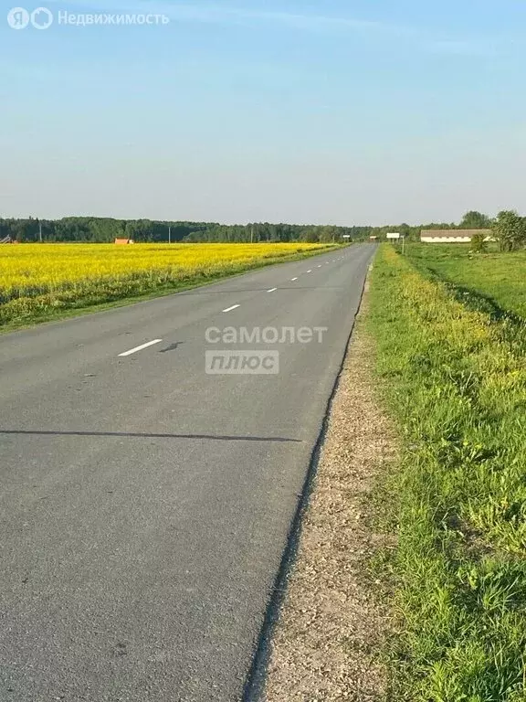 Участок в Медведевский район, Шойбулакское сельское поселение, деревня ... - Фото 2