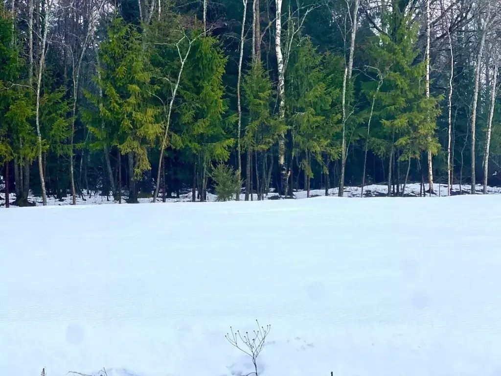 Участок в Ленинградская область, Всеволожский район, Лесколовское ... - Фото 0