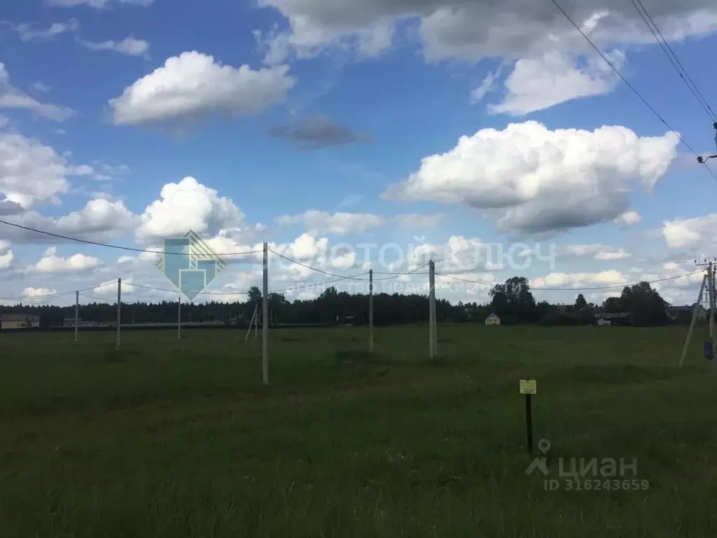 Участок в Московская область, Талдомский городской округ, д. Князчино  ... - Фото 0