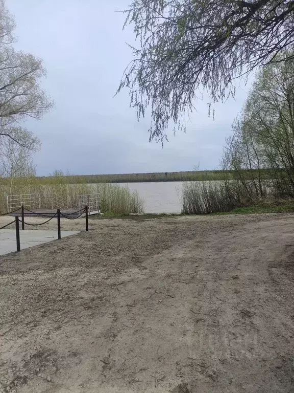 Участок в Новосибирская область, Колыванский район, д. Юрт-Ора ул. ... - Фото 0
