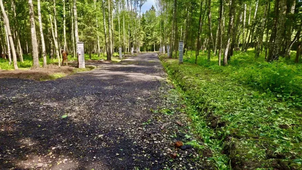 Участок, 6 сот., поселения (ижс) - Фото 1