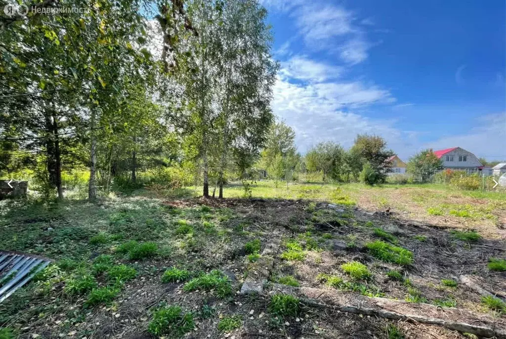 Участок в Рамонский район, Айдаровское сельское поселение, СНТ Роща ... - Фото 2