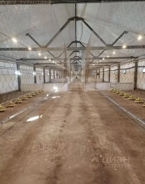 Производственное помещение в Смоленская область, Темкинский ... - Фото 1