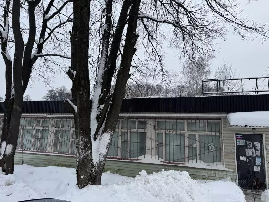 Торговая площадь в Московская область, Балашиха городской округ, д. ... - Фото 2