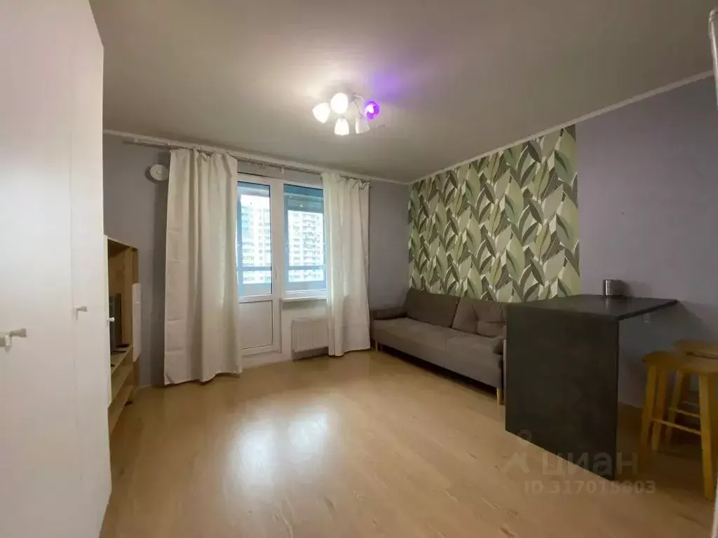 Студия Санкт-Петербург просп. Энергетиков, 11к2 (25.0 м) - Фото 1